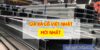 Giá xà gồ liên doanh việt nhật hôm nay