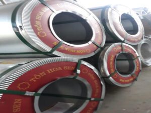 Giá tôn Hoa Sen Hậu Giang