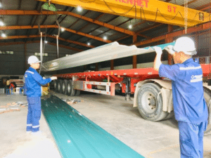 Giá tôn Hoa Sen Huyện Hóc Môn