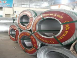 Giá tôn Hoa Sen Kiên Giang