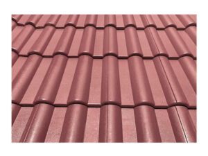 Giá tôn Hoa Sen Lâm Đồng