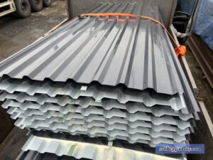 Giá tôn Đông Á tại Huyện Cần Giờ