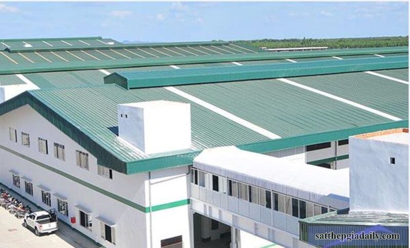 Nhu cầu tiêu thụ tôn Hoa Sen tại Quận Gò Vấp