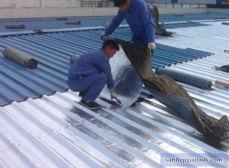 Thị trường tôn Hoa Sen tại Bình Chánh